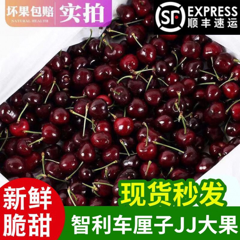 现货秒发  顺丰空运智利车厘子精选进口新鲜大果樱桃2斤109 