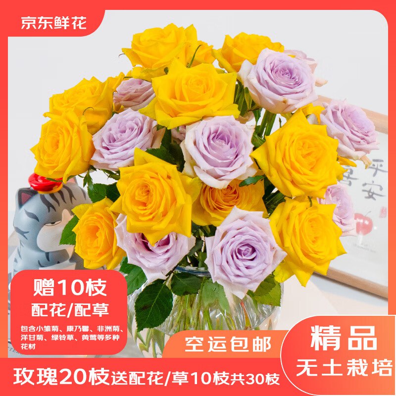 【自营】京东鲜花 玫瑰20支+配草10支(含赠)