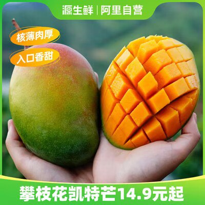 0点开始 19.9💵【源生鲜旗舰店】四川攀枝花凯特现摘芒果5斤)F661dCRQXk8)/ CZ11//
