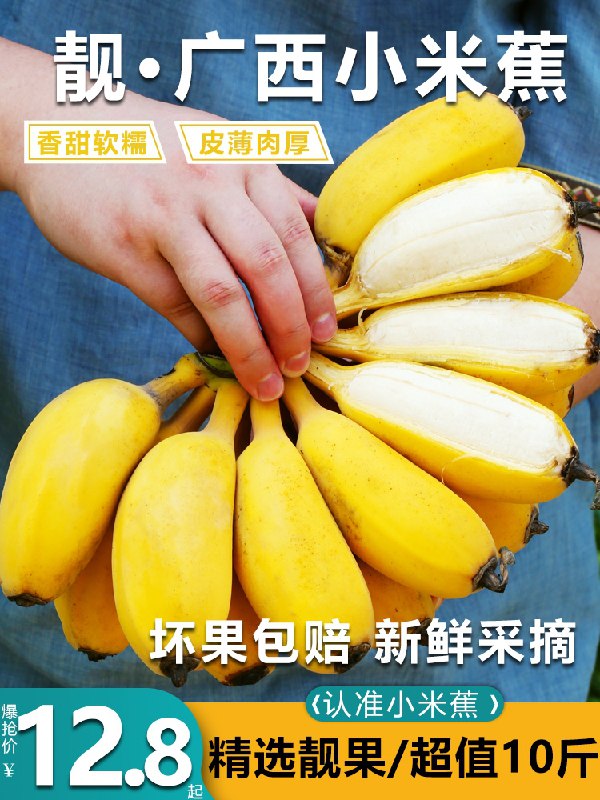 9.8元 鲜班长旗舰店广西精选新鲜小米蕉5斤装(hg6RXmBInpb)/