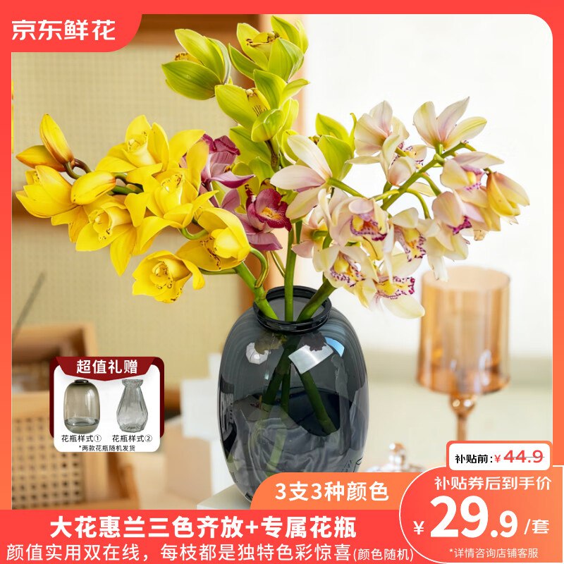 29.9元【自营】京东鲜花大花蕙兰 3支+花瓶