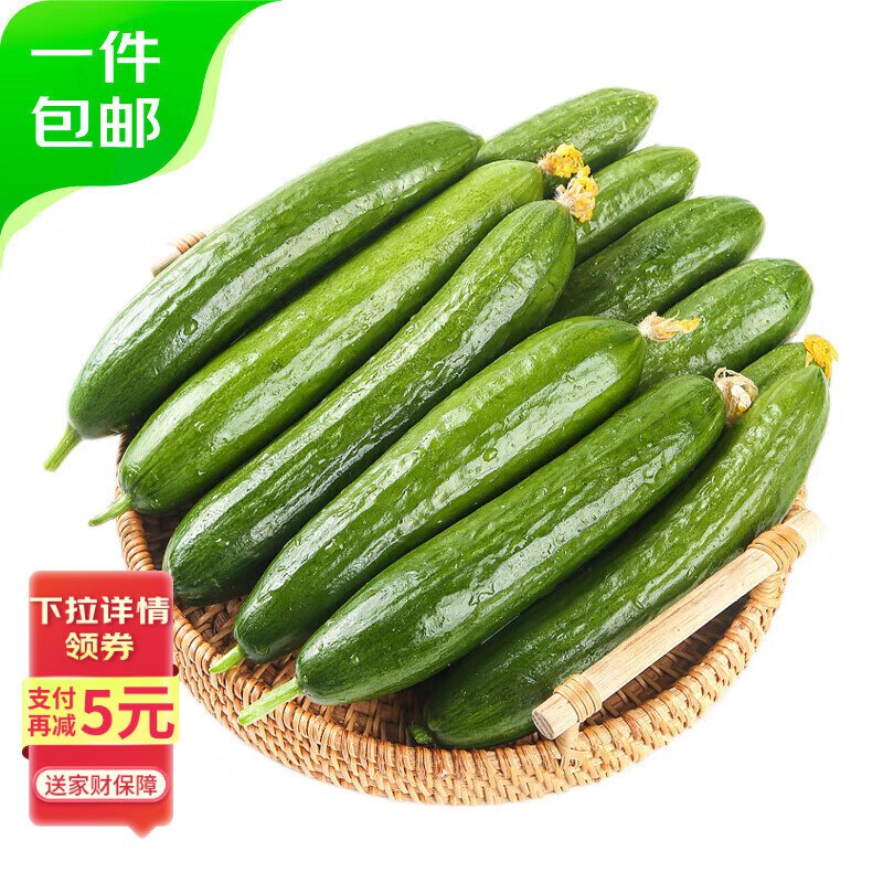 自营京鲜生 山东荷兰水果黄瓜净重5斤