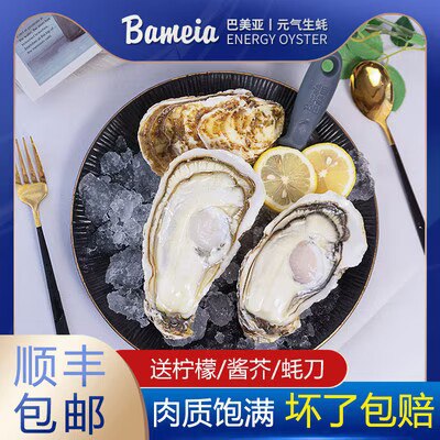 0点开始 68💵【巴美亚旗舰店】巴美亚刺身高端生蚝15粒装)ydB7duowNew)/ CZ11//