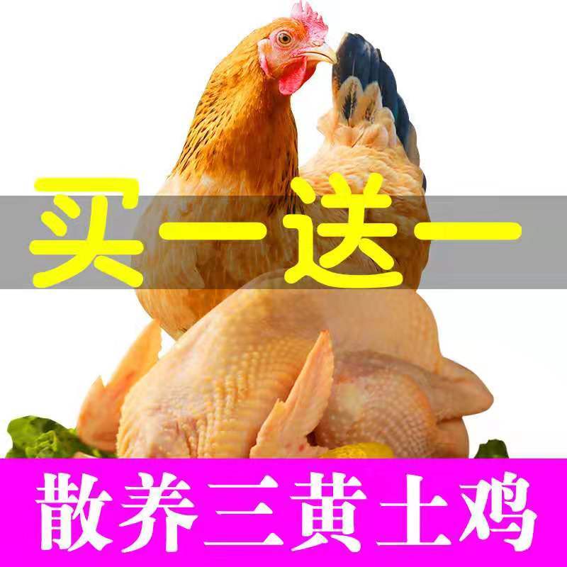 【买一送一】农家散养三黄鸡，2只装