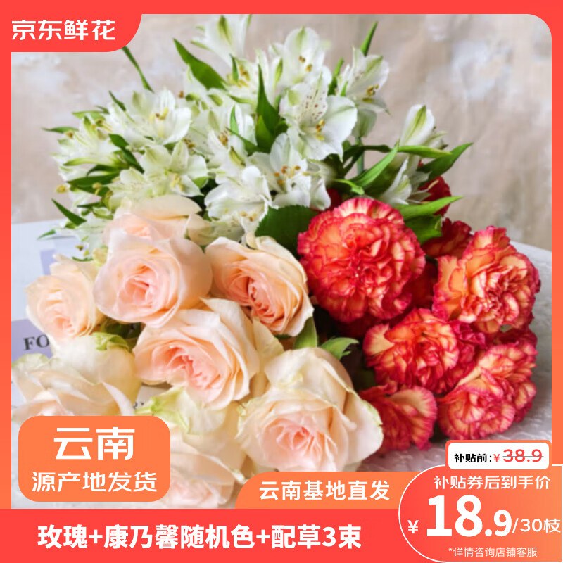18.9元 自营鲜花 玫瑰+康乃馨+配草花束