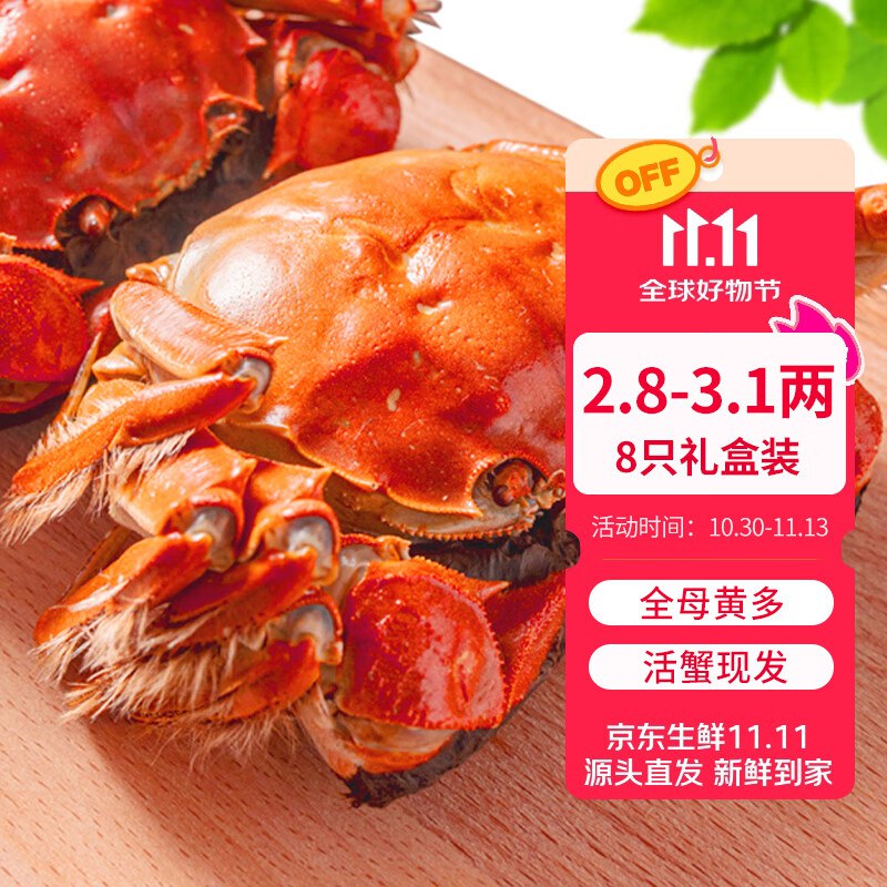 会场领200-20卷