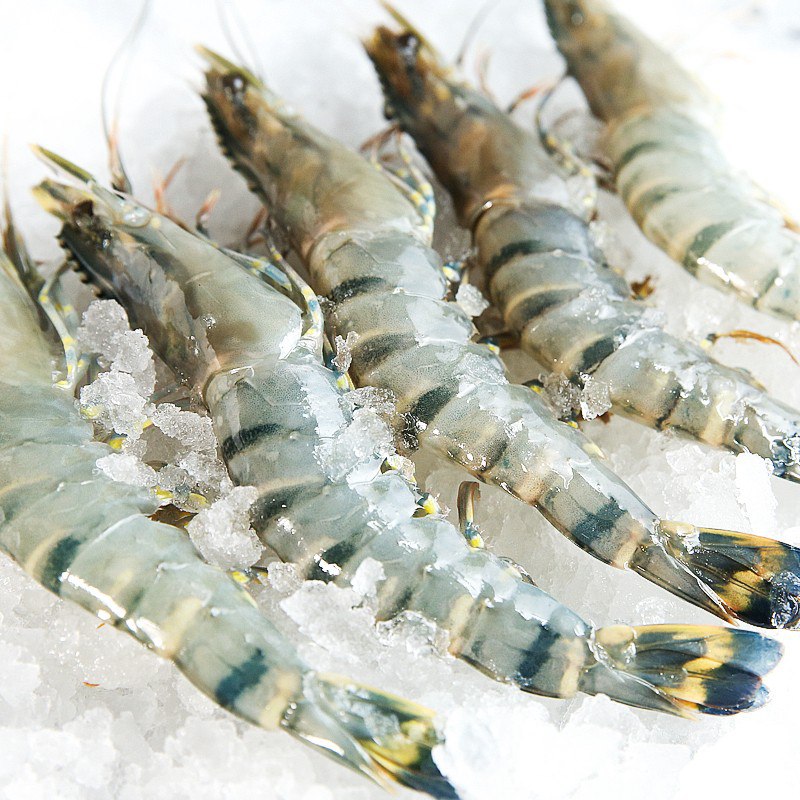 大号越南黑虎虾1200克，用5礼金，103 