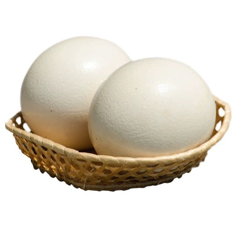 鸵鸟蛋非洲新鲜大号蛋127