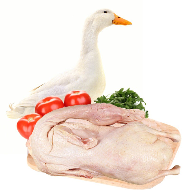 新鲜大白鸭净重2斤/只
