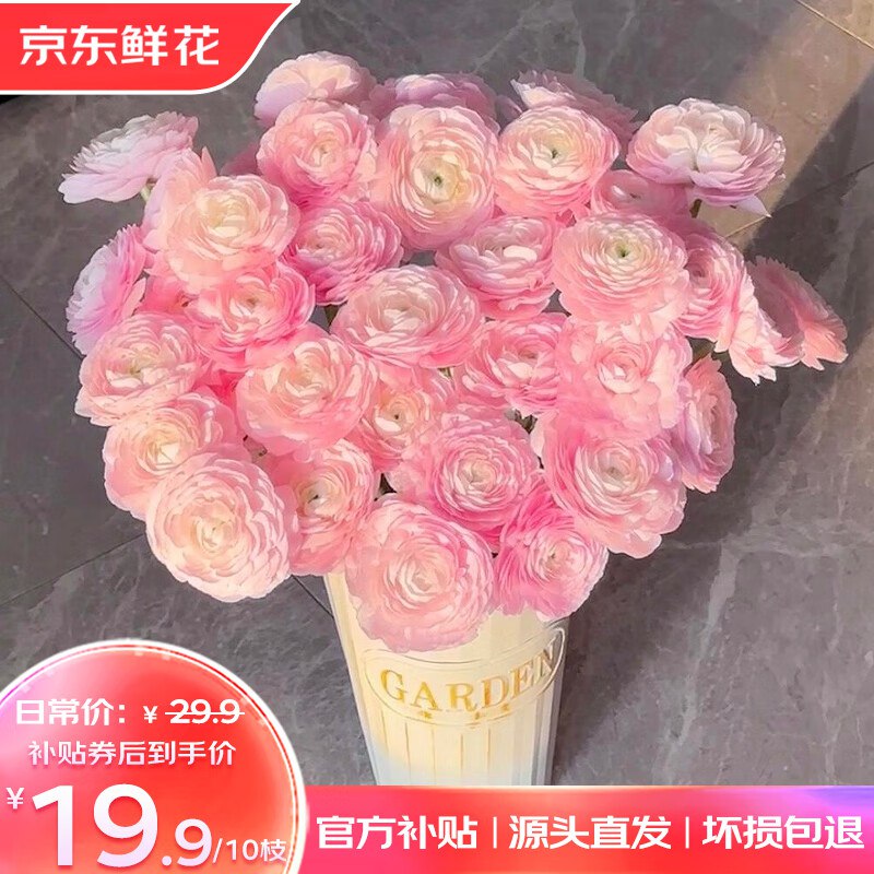 自营鲜花 10支洋牡丹