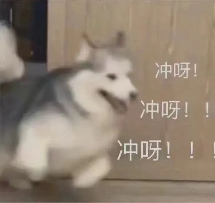 楼上维达，名额比较多