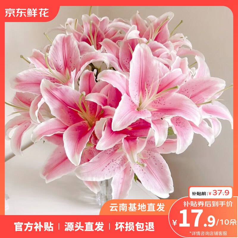 15.9元 ToSpring 香水百合10朵