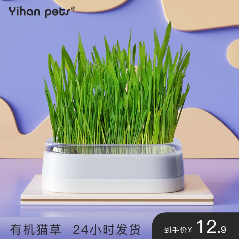 猫草种植套装5.9亓  (vtq71C7IOeu)