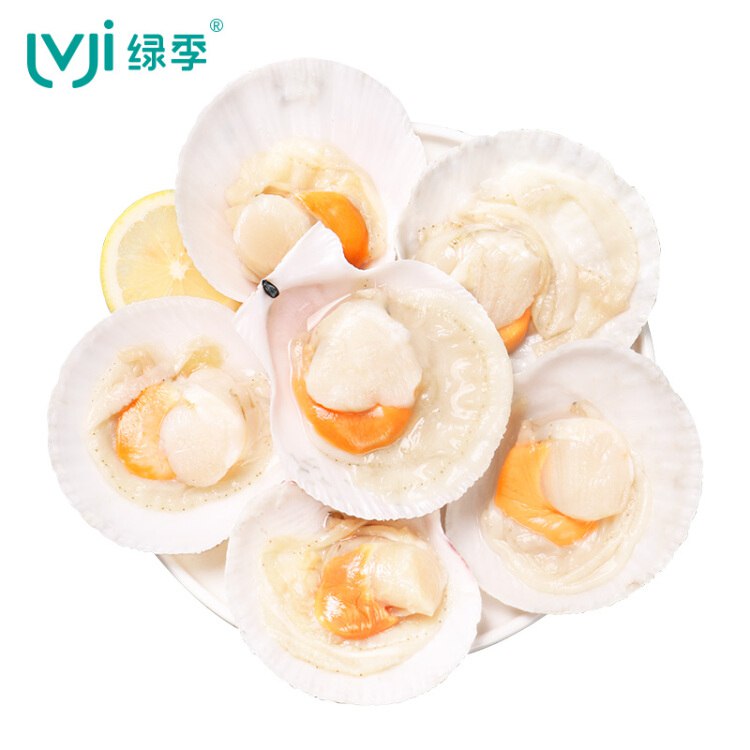 绿季 进口大号半壳扇贝 1kg/袋 18-21只 海鲜 生鲜 火锅食材