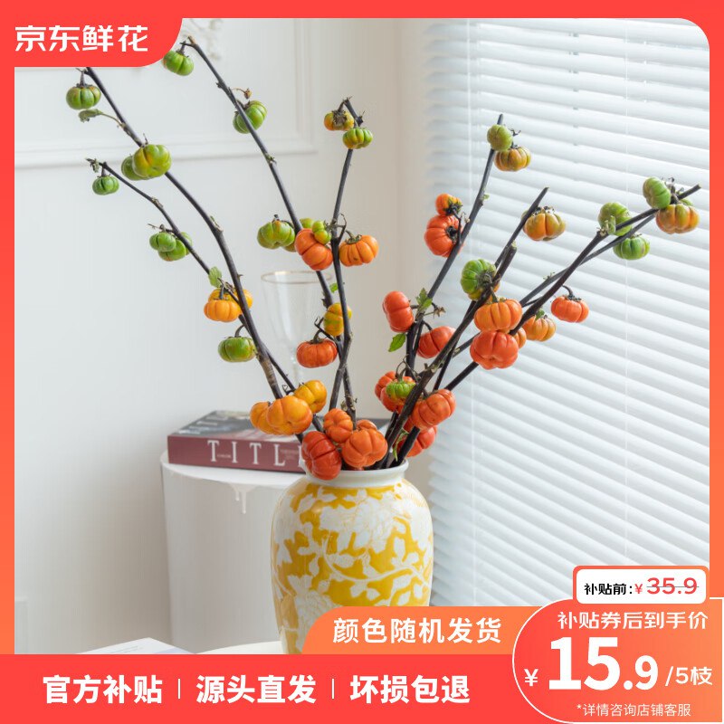 ToSpring鲜花合集鲜切枝小南瓜一扎（3-5支）