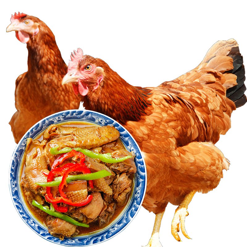 散养土鸡单只约900g拍2件发2只49元，一定要拍2件！