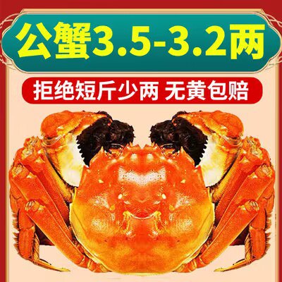 99亓【三秋柳岸旗舰店】兴化新鲜大闸蟹母蟹公蟹共8只母蟹2.5两+公蟹3.5两 到手8只)iwI5W0IDN2A)/ CZ11//