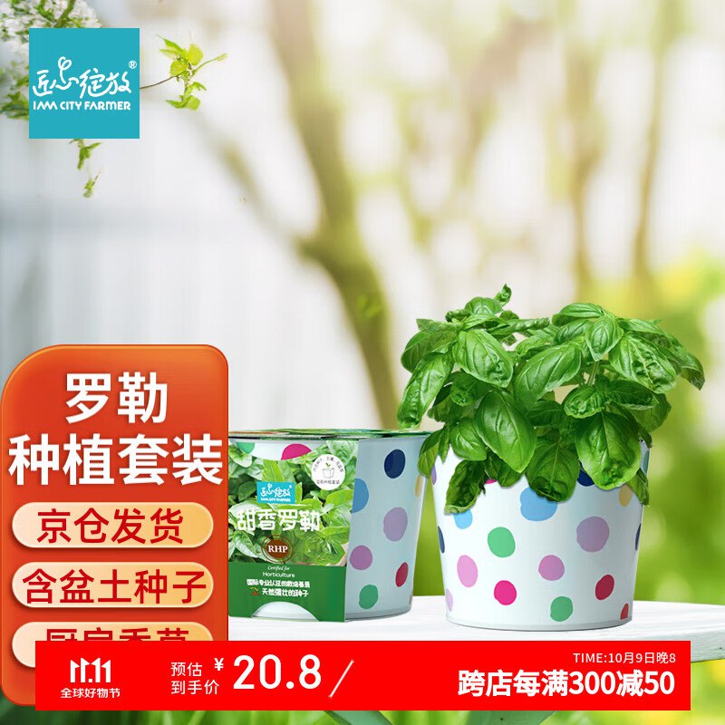 plus 300-30品类卷
