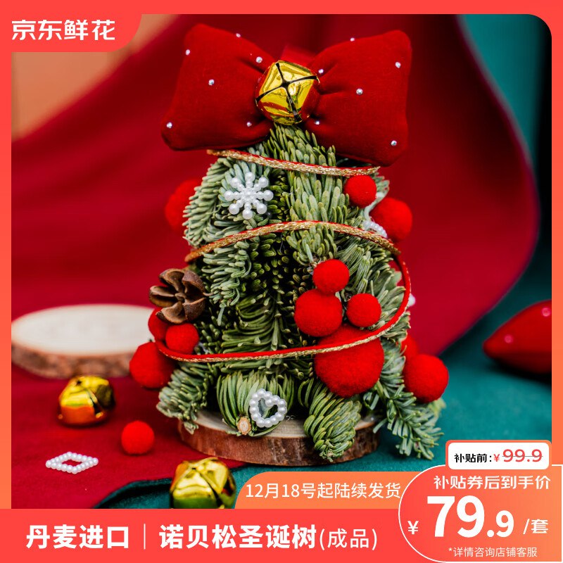 自营京东鲜花 诺贝松圣诞树12cm