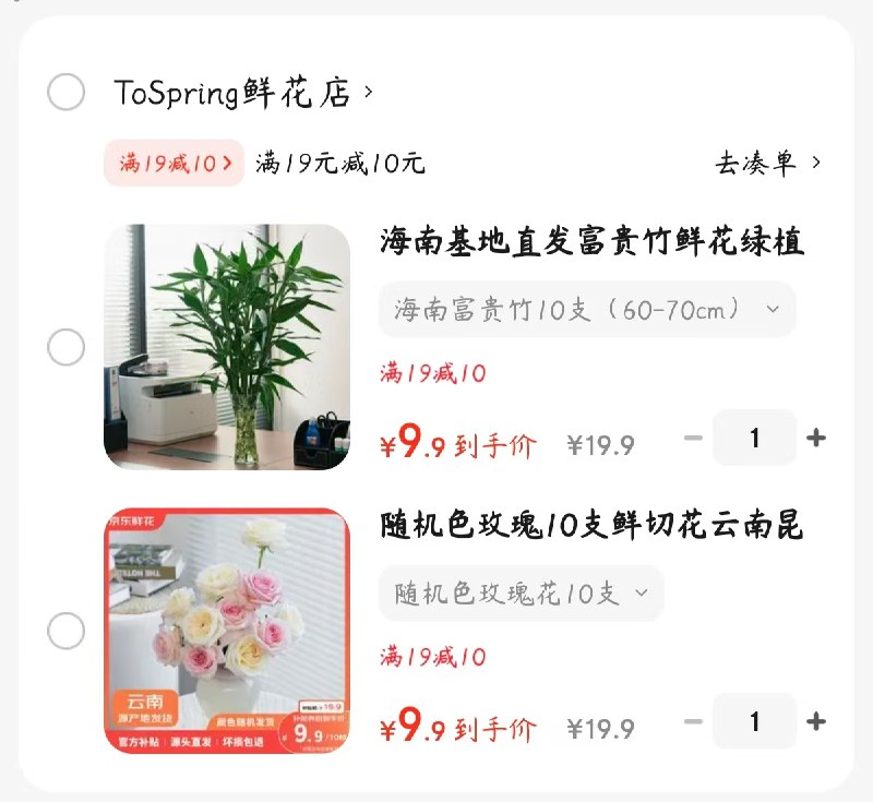 ToSpring绿植合集①随机色玫瑰花10支