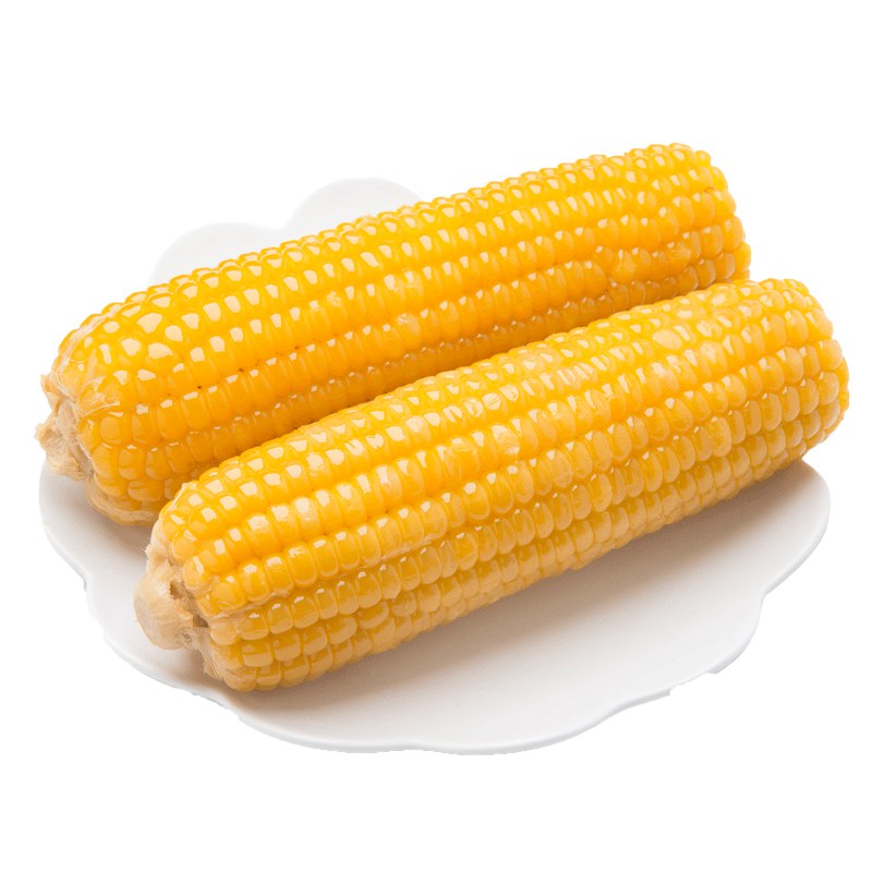 24.8真空包装8根黄糯玉米 