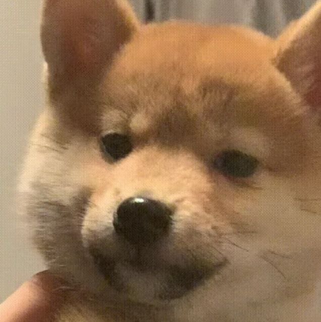 其实女孩子很好哄的人家不是真的图礼物主要是你得有心意是不~