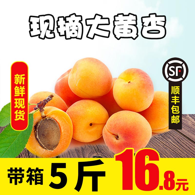 大黄杏新鲜山西杏酸甜杏5斤16.8亓  