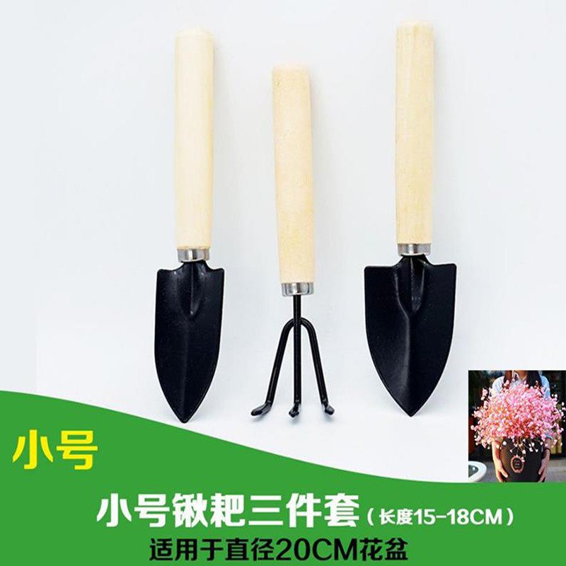 家用种花赶海小铲子三件套+送满天星1000粒+生根粉+肥料