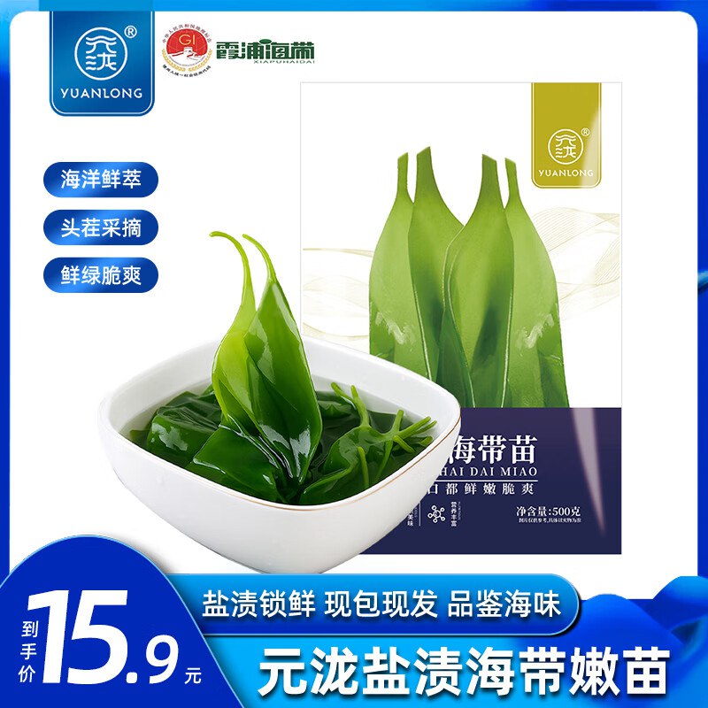 自营元泷 新鲜海带苗500g*2袋