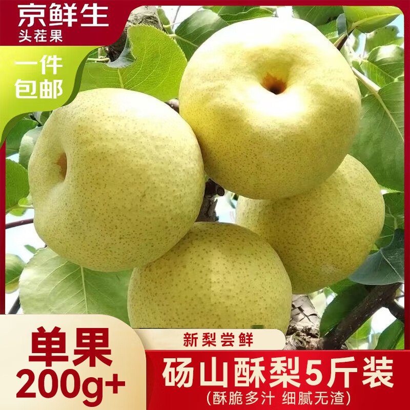 自营京鲜生 青皮皇冠梨净重5斤 单果200g+