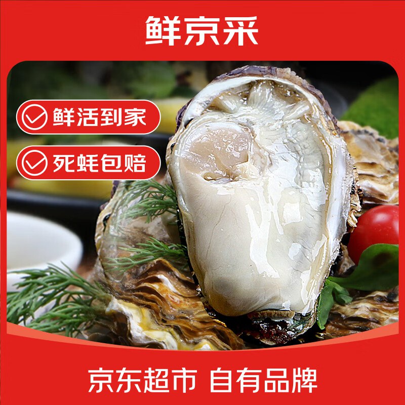 【自营】鲜京采 鲜活生蚝3XL净重5斤 13-18只