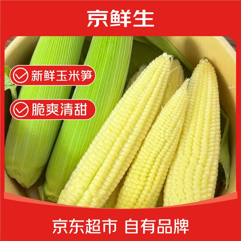 自营京鲜生 云南玉米笋 净重3斤拍下【15.9元】 折5.3元/斤