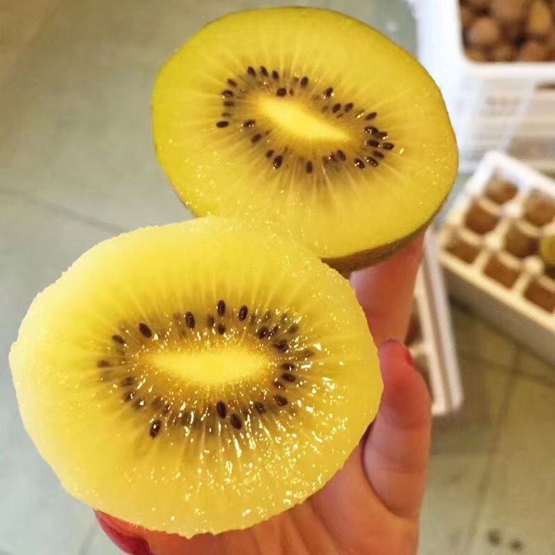 猕猴桃陕西徐香猕猴桃奇异果绿心当季新鲜水果12枚5斤装整箱包邮【7月24日发完】10.8元