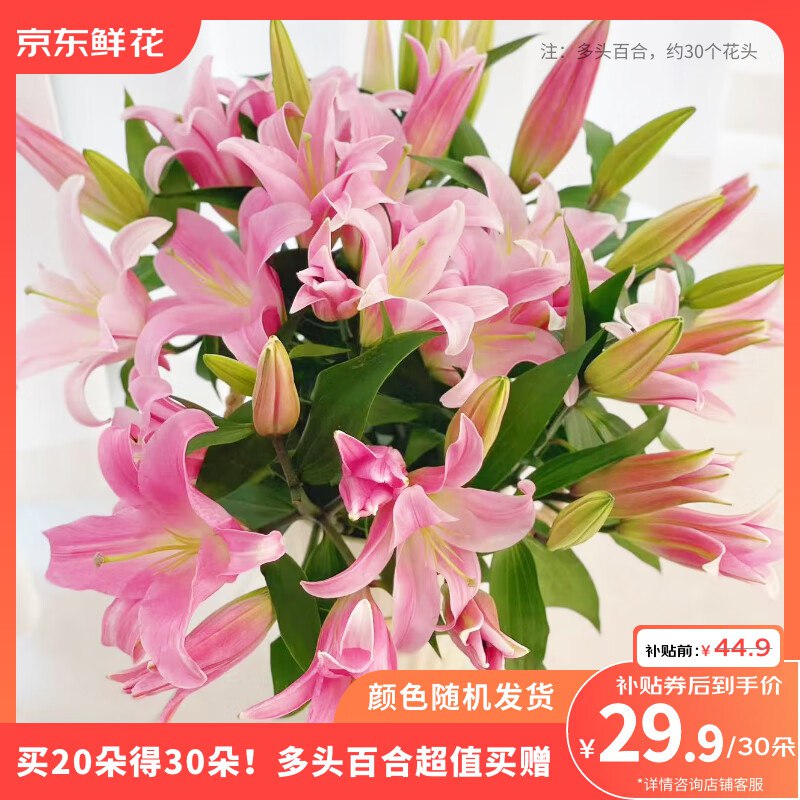 【自营】京东鲜花 百合随机30朵