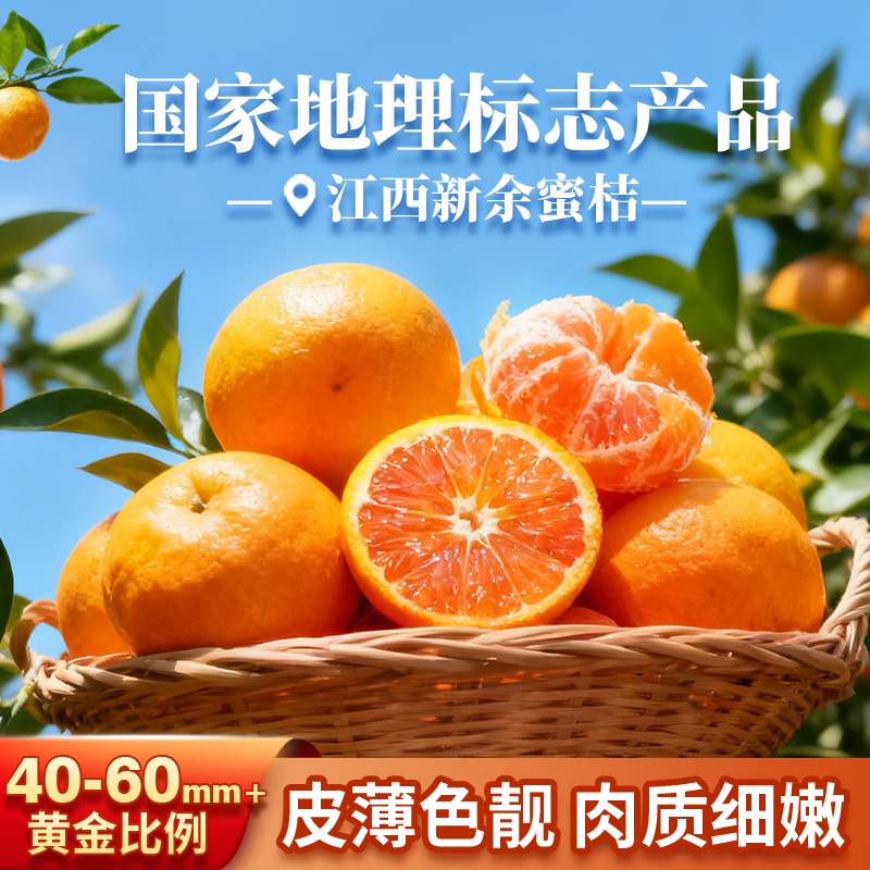 新余蜜桔 带箱5斤（净重4.5斤）