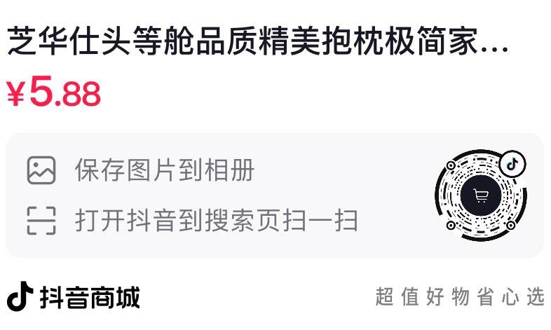 DY 芝华士抱枕兔单货反问客服