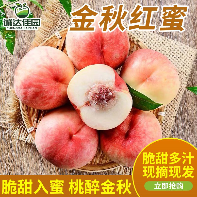 烟台金秋红蜜桃3/5斤现摘毛桃当季新鲜水果脆甜爽口整箱批发包邮