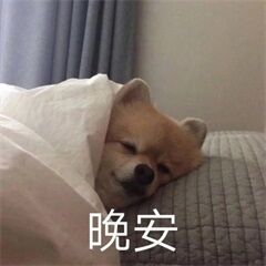 晚风徐徐，星河灿烂，愿每天的坏心情都能在睡前清零