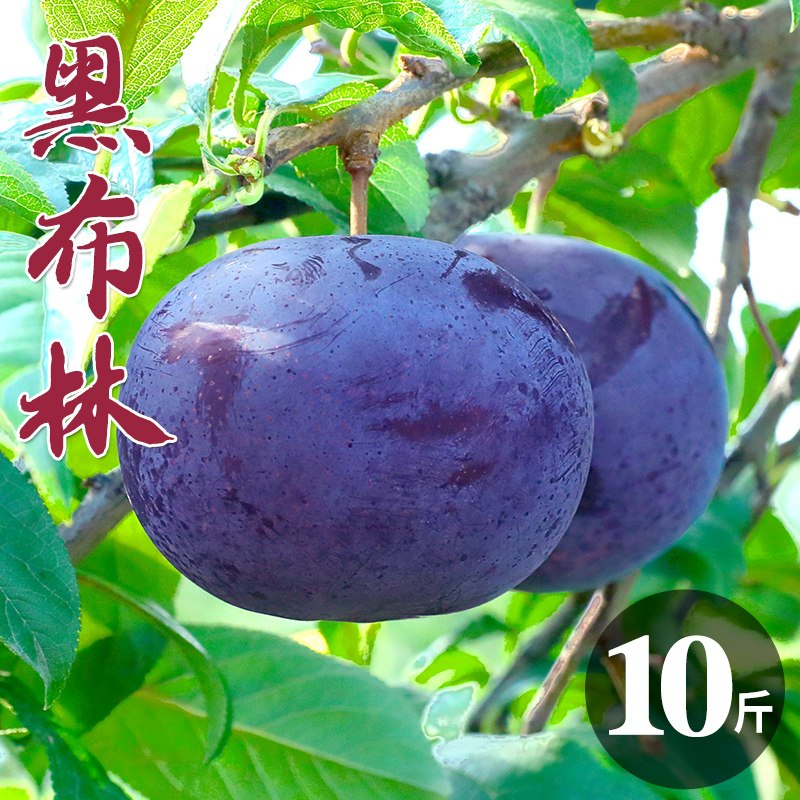 10点开始 拍下6.8元【福瑞达】陕西黑布林李子3斤(5iFLX8muFSu)/