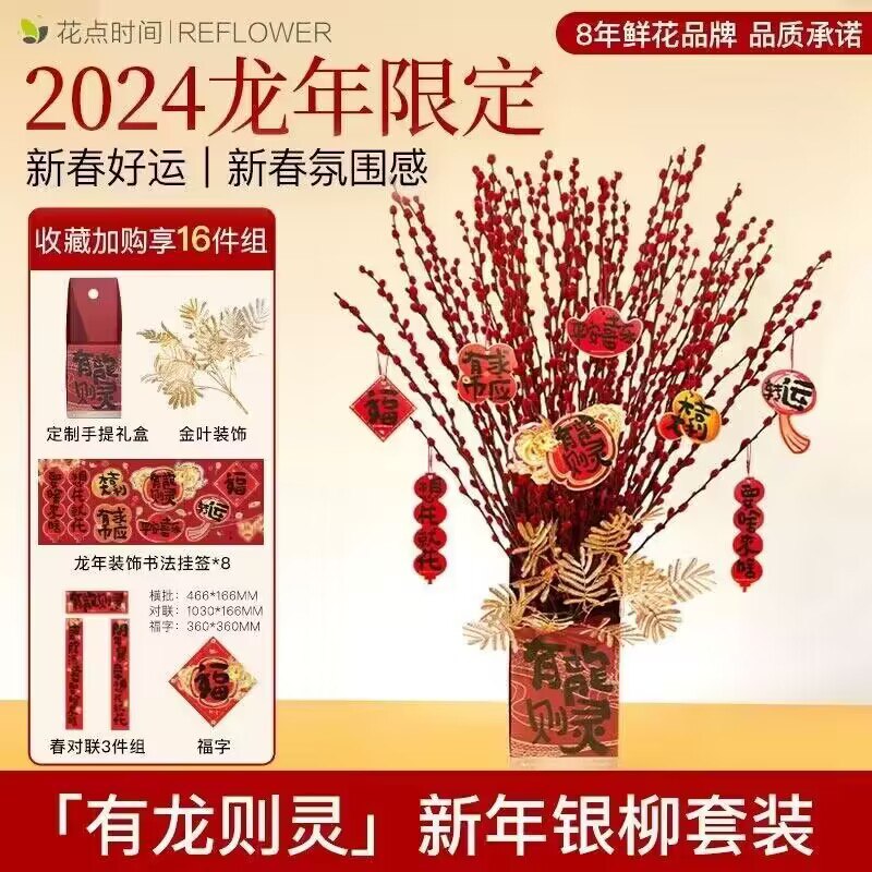 19.9💵【花点时间旗舰店】2024年龙年过年银柳共20枝)UliyWepFOKE)/ CZ1111
