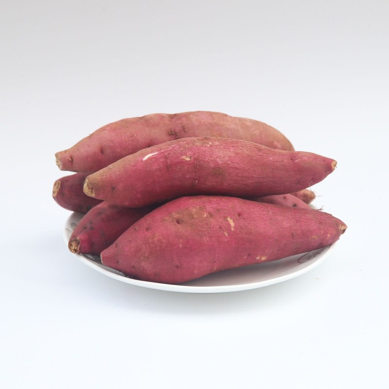 沙地红心蜜薯  新鲜 现挖    10斤 
