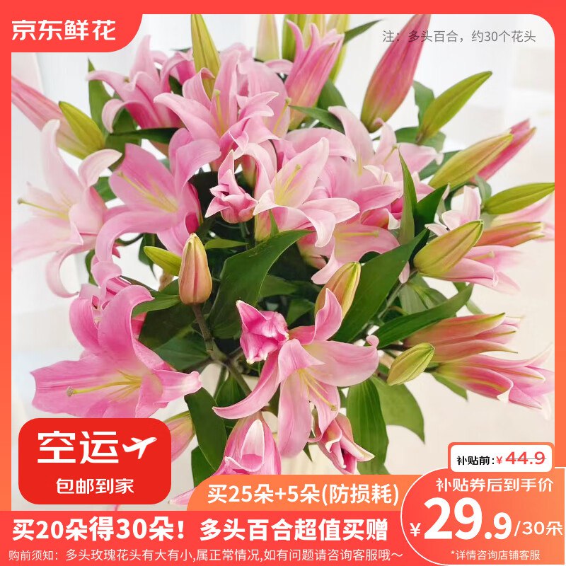 自营京东鲜花 百合随机30朵(含赠)