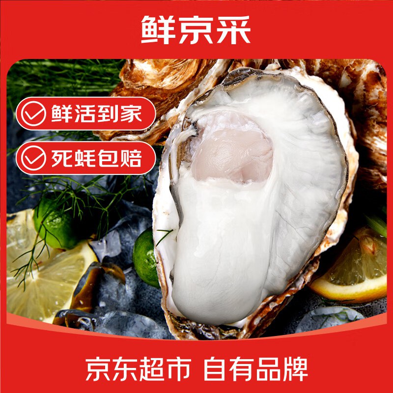 自营鲜京采 鲜活生蚝4XL 净重5斤