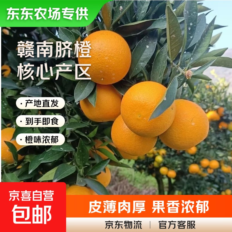 下方领7-6卷mp://V81uzspjiDeIpHx1.01元 赣南脐橙带箱1斤装
