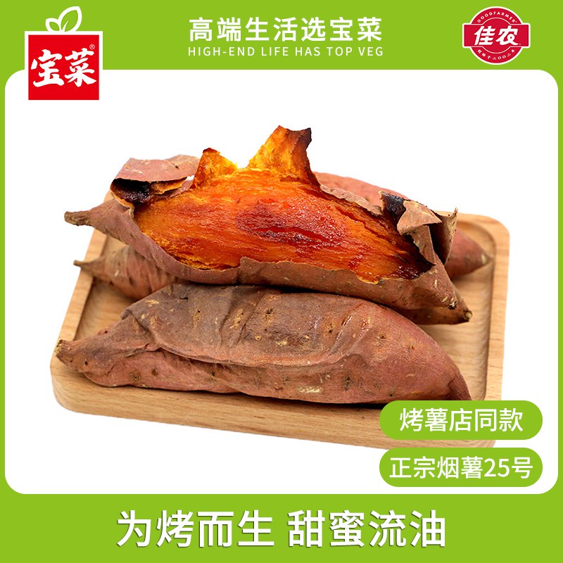 佳农宝菜 烟薯正宗25号 净重4.3-4.7斤