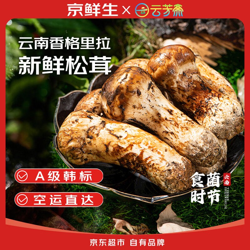 59元 【自营】京鲜生X云芳斋香格里拉新鲜松茸 净重150g