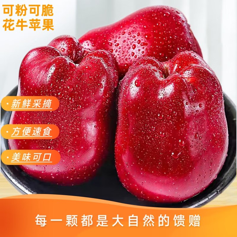 天水花牛苹果 净重4.5斤