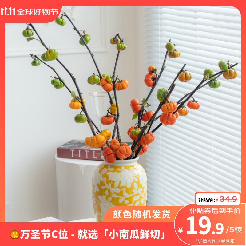 ToSpring 鲜切枝小南瓜一扎