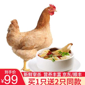 三黄鸡苏北土鸡 净重约800-850g（1.6斤）