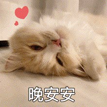 今天的分享就到这里 早点休息晚安 宝子们，好梦~ 明天见🌙天冷记得添衣，出行注意安全